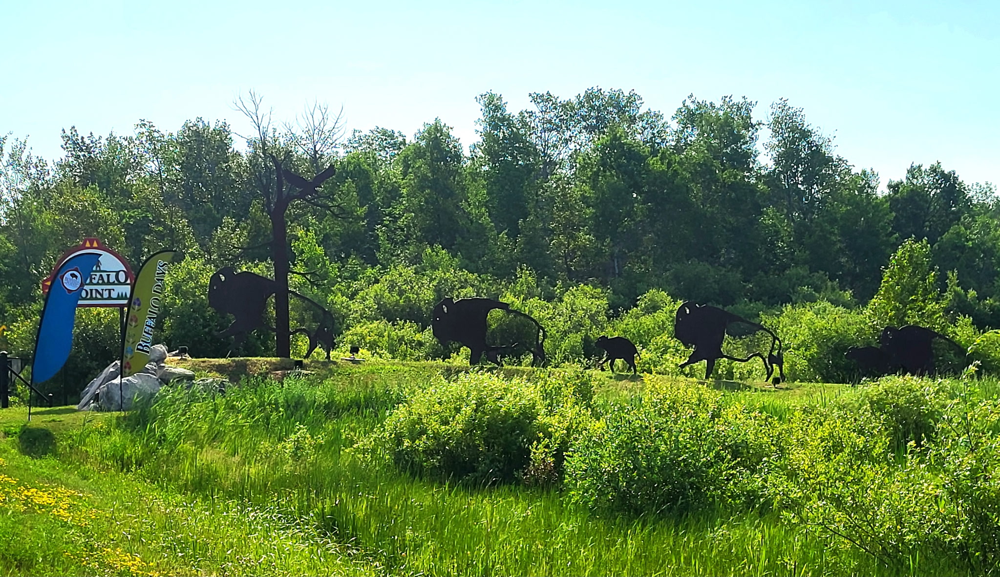Buffalo Days in Buffalo Point